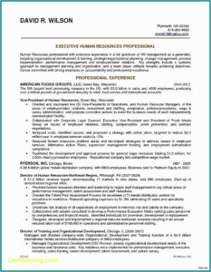 Template Articles Of Incorporation Llc