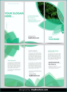 Templates For Brochures On Microsoft Word 2010