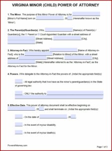 Va Durable Power Of Attorney Form Free