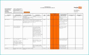 Vendor Risk Management Excel Template