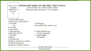 Vietnamese Visa Application Form Help