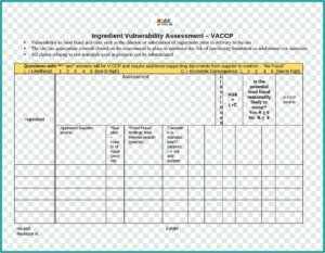 Vulnerability Assessment Template Excel