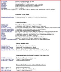 Wayne County Circuit Court Divorce Forms
