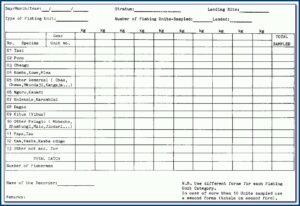 Daily Forklift Inspection Form