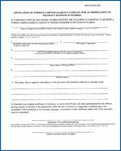 Delaware Llc Conversion Forms