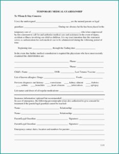 Free Printable Temporary Custody Forms