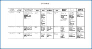Haccp Plan Form 4