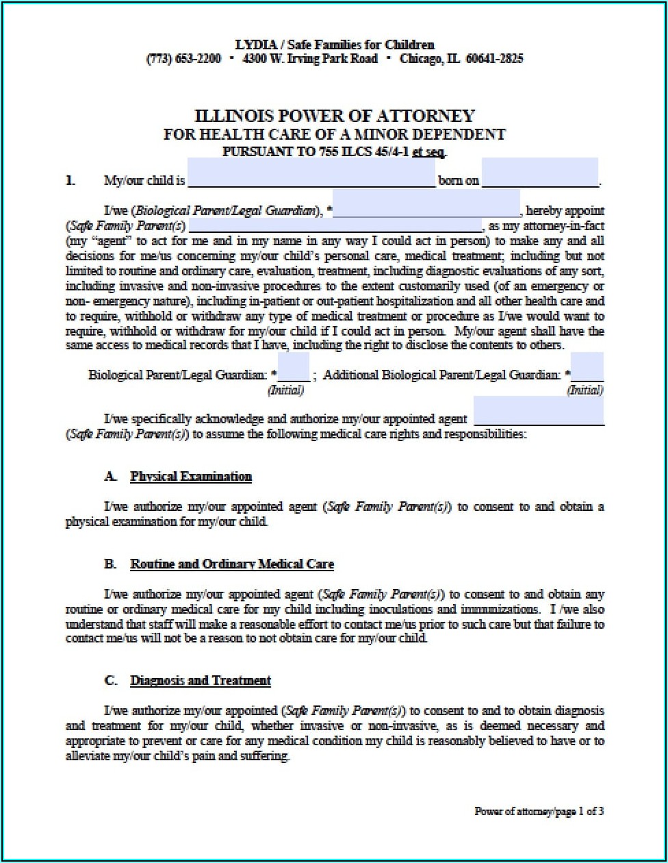 Legal Guardianship Forms Illinois