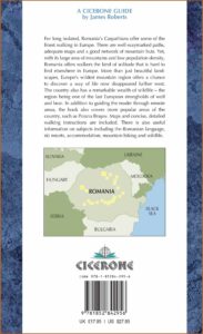 Michelin Europe Road Map