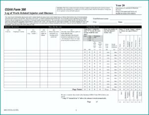 Osha Form 300 Fillable Free