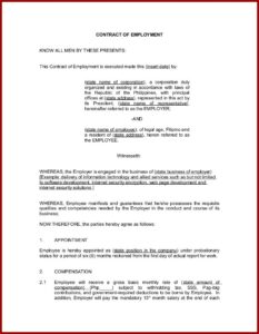 Probationary Employment Contract Template Philippines