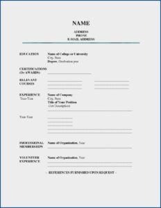 Resume Blank Form Sample