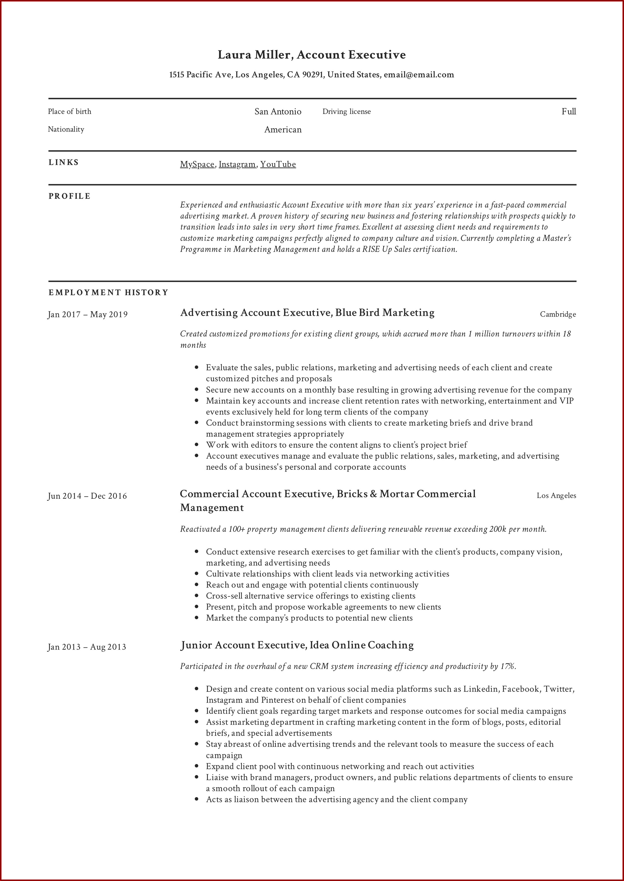 Resume Templates For Account Executive