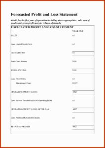 Simple Profit Loss Statement Template Free