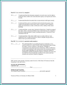 Standby Guardianship Form Illinois