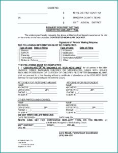 Texas Annulment Paperwork