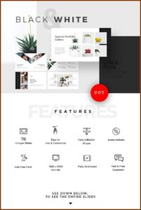 Best Powerpoint Pitch Deck Template