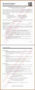 Free Construction Management Resume Templates