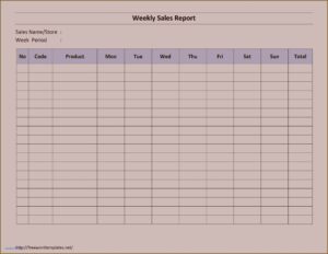 Free Daily Sales Report Template