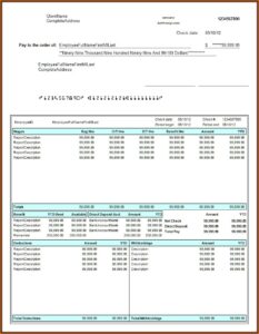 Free Fake Check Stubs Template