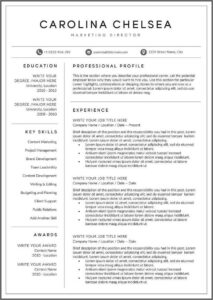 Free Music Resume Templates
