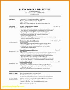 Free Musician Resume Template