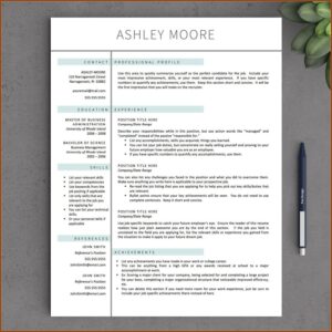 Free Professional Resume Templates For Mac