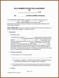 Free Single Member Llc Operating Agreement Template Pdf
