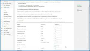 Irs Form 8379 For Stimulus