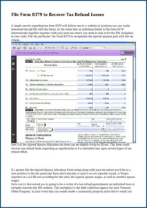 Irs Form 8379 Pdf