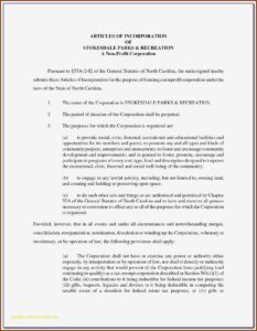 S Corporation Bylaws Template