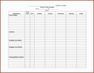 Staffing Schedule Template