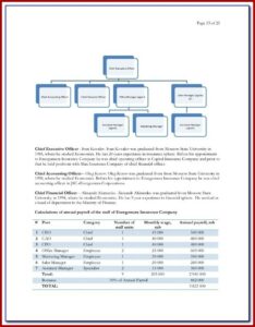 Bankable Business Plan Format