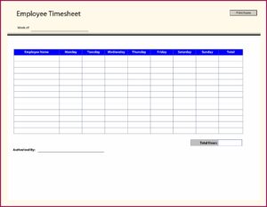 Blank Timesheet Template Free