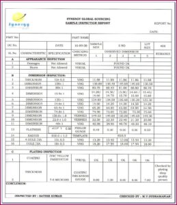 Cctv Camera Inspection Report Template