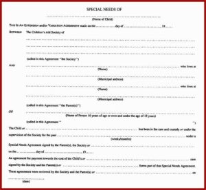 Child Custody Affidavit Template
