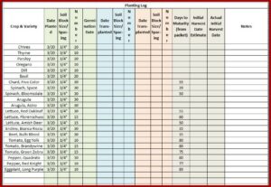 Digital Timesheet Template