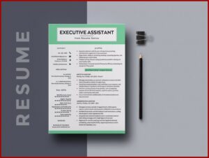 Executive Assistant Resume Template Free