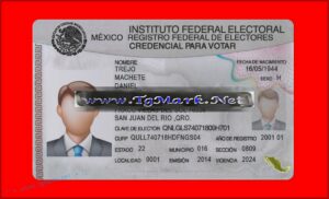 Forklift License Template Download