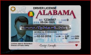 Forklift License Template Free