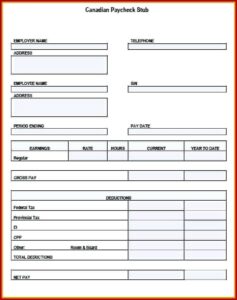 Free Blank Pay Stub Template