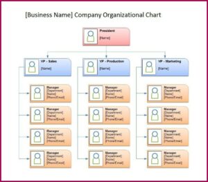 Free Organizational Chart Template Word 2019