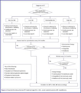 Is Essential Thrombocythemia A Form Of Blood Cancer