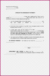 Legal Affidavit Template