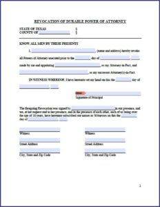 Legal Guardianship Of A Minor Texas Forms