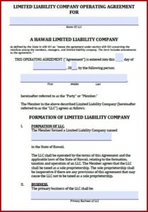 Llc Operating Agreement Amendment Sample