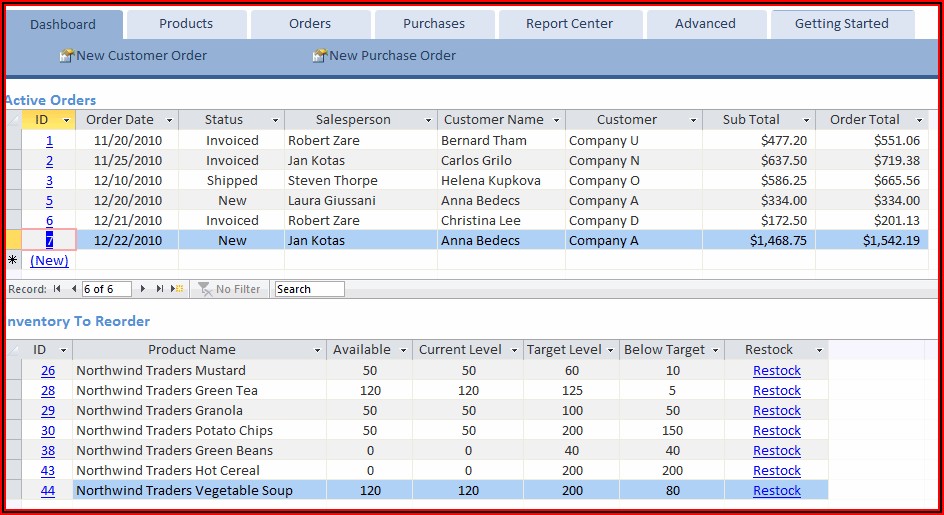 Microsoft Access Inventory Database Template