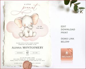Printable Baby Boy Shower Invitations Template
