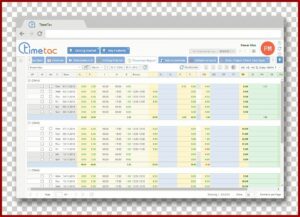 Project Task Tracking Template