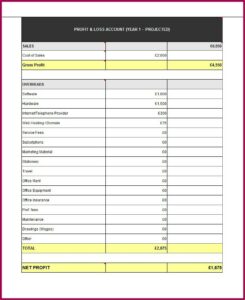 Quarterly Profit And Loss Statement Sample
